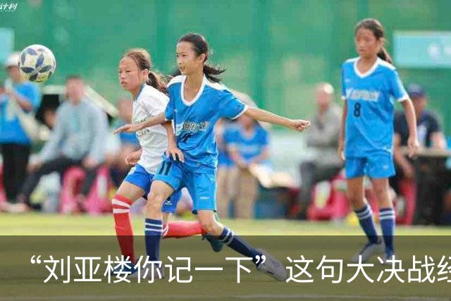 “刘亚楼你记一下”这句大决战经典台词，错了30年竟无人敢质疑？