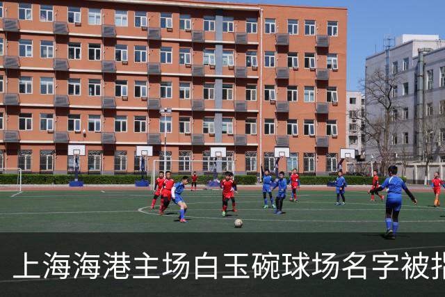 上海海港主场白玉碗球场名字被指不吉利急猴猴开场就踢