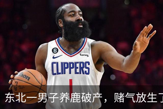 东北一男子养鹿破产，赌气放生了30头鹿，8年后上山，眼前一幕却让他泪崩了...