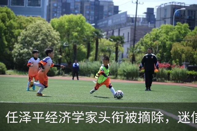任泽平经济学家头衔被摘除，迷信任何人都是要被割韭菜的