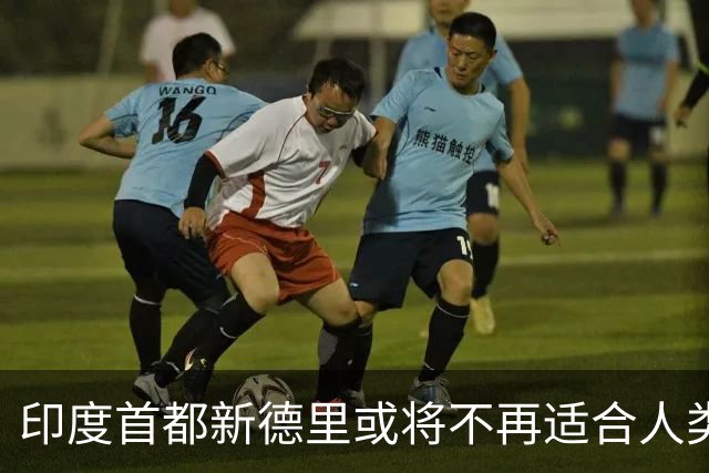 印度首都新德里或将不再适合人类居住？连蚊子都消失？