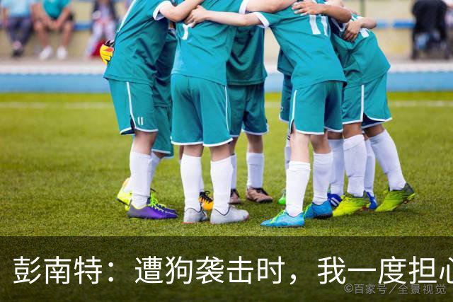 彭南特：遭狗袭击时，我一度担心会截肢