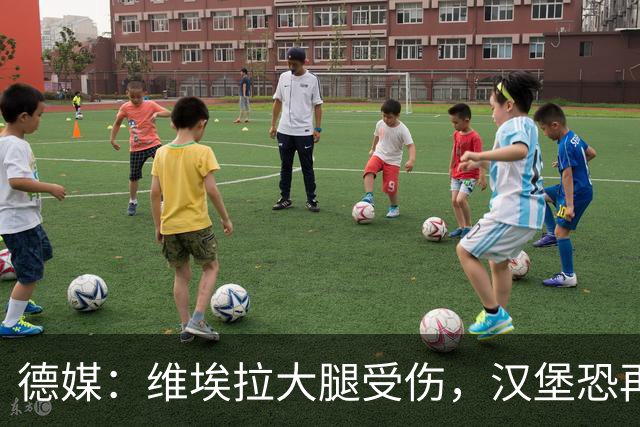 德媒：维埃拉大腿受伤，汉堡恐再失一名核心球员