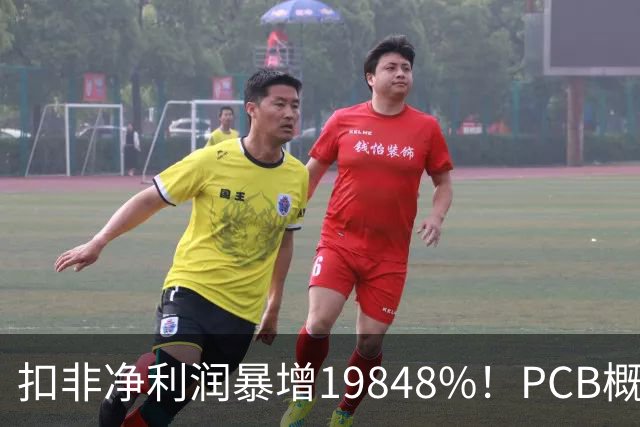 扣非净利润暴增19848%！PCB概念股，前十大股东新增神秘自然人