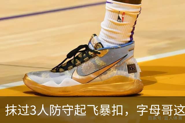 抹过3人防守起飞暴扣，字母哥这一球打停老鹰