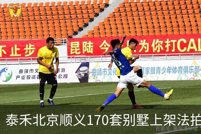 泰禾北京顺义170套别墅上架法拍 起拍价10.90亿元