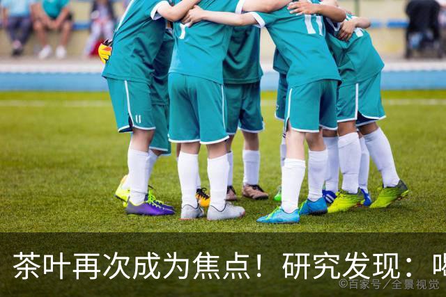茶叶再次成为焦点！研究发现：喝得越多，寿命就越长？告诉你真相