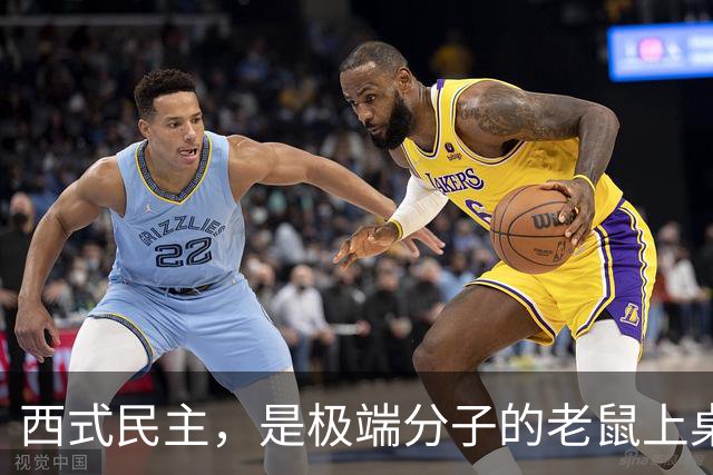 西式民主，是极端分子的老鼠上桌