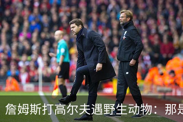 詹姆斯打高尔夫遇野生动物：那是狐狸还是郊狼？