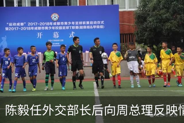 陈毅任外交部长后向周总理反映情况，周总理感叹：这么多人对我有意见啊！