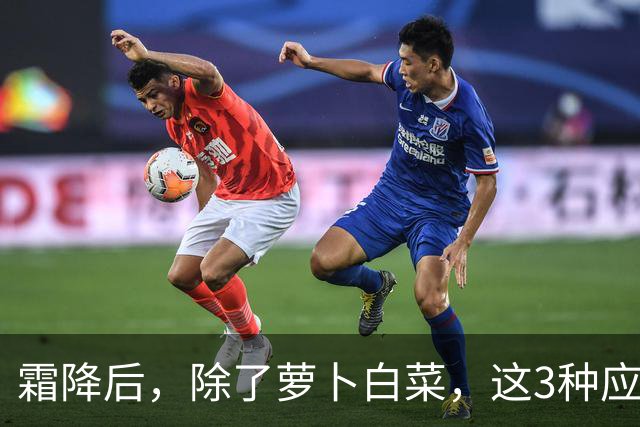 霜降后，除了萝卜白菜，这3种应季蔬菜要多吃，鲜嫩营养，润燥养人，好吃还不贵！
